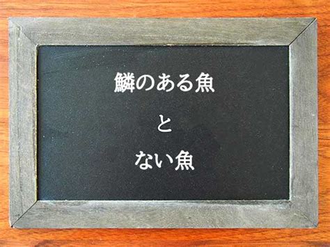 有鱗魚種類|鱗のある魚とない魚の違いとは？違いを解説